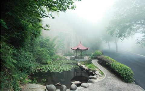 上海到(莫干山-西溪湿地2日游)享受生活，享受生命，全程无