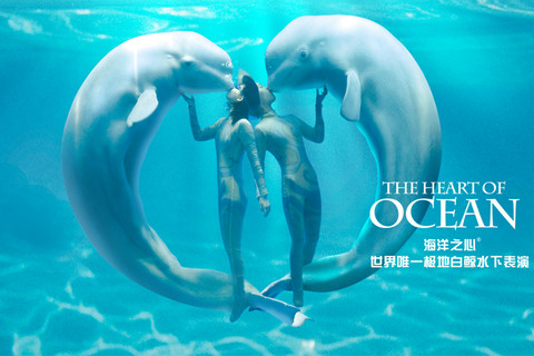 海洋之心 - <em>哈尔滨极地馆</em>的<em>照片</em> - 途牛旅游网