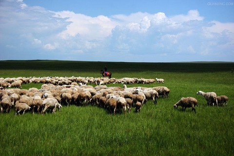 <em>科尔沁</em>大<em>草原</em> - tuniupublic的<em>照片</em> - 途牛旅游网