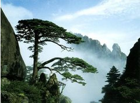 上海到(南京-黄山-千岛湖-杭州-乌镇-沙特馆6日游)上海