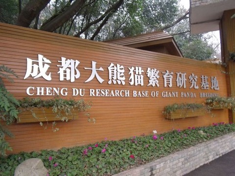 <em>成都大熊猫</em>繁育<em>基地</em> - 小赑屃的<em>照片</em> - 途牛旅游
