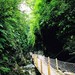  黑山谷栈道
