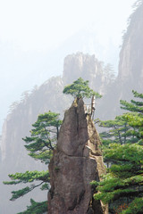 黄山图片