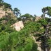  黄山 安徽 黄山 北海景区