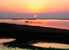 鄱阳湖图片