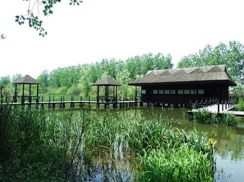 南京出发_ 泰州溱湖湿地-溱潼古镇自驾2日游 宿