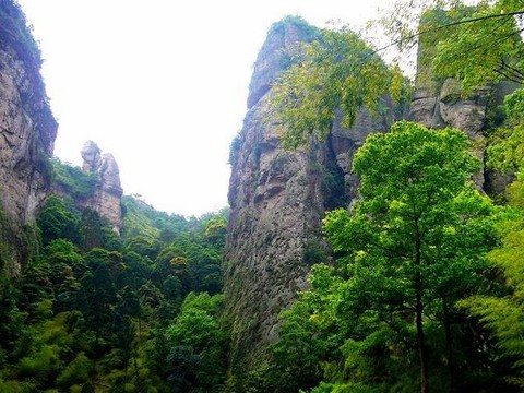 小龙湫图片