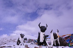 米拉山图片