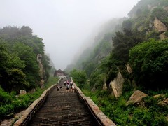 泰山
