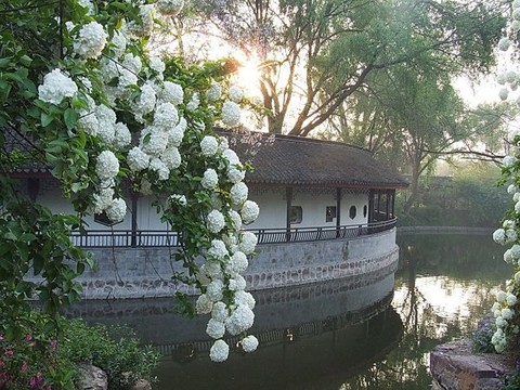 红梅公园图片