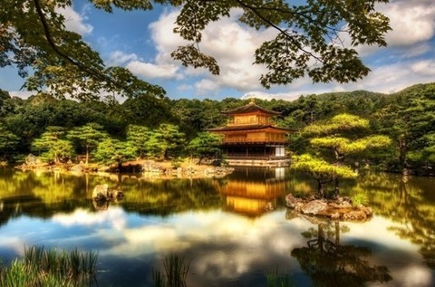 金阁寺 - 金阁寺的照片\/忻州\/山西