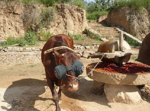 袁家村02 - 西安的照片\/西安\/陕西