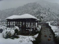 九龙湖图片