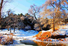 山庄雪景