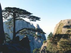 上海到(黄山2日团队游)周末出游,预定从速