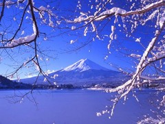 <金泽-京都-大阪-横滨-东京-富山8天>赏樱前线，山水美食温泉