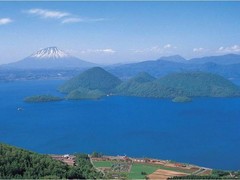 <北海道-富良野5或6日游>包机直飞，旭山动物园，尼克斯海洋公园