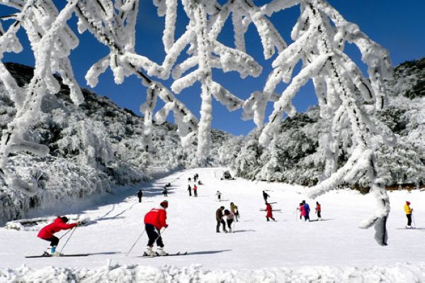 金佛山滑雪场