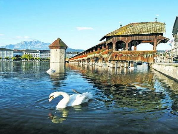 赏如画的琉森湖