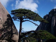 苏州到(黄山2日游)已升级独卫,可升级标间