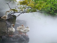 兰亭图片