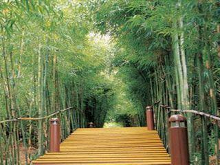 峡湾栈道