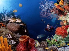 浦东旅游景点图片