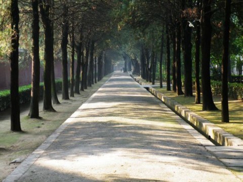 芮城永乐宫图片