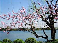 上海到(绍兴-西湖-宋城2日游)骑车环湖，低碳出游，深入春
