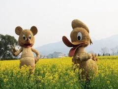 上海到(仙居油菜花-琼台仙谷2日)沉醉花海，听稻草人讲故事