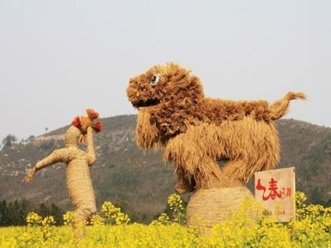 春之舞 - 仙居风景名胜区的照片\/台州\/浙江