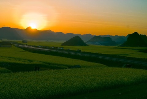 花海日出 - 罗平油菜花海的照片\/曲靖\/云南