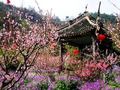 上海到(绍兴水城-吼山赏花1日)浪漫春季，桃花朵朵开