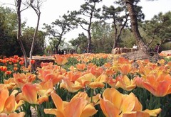 未命名