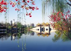 上海到(镇江金山寺-扬州瘦西湖-东关街踏青2日)轻松出行