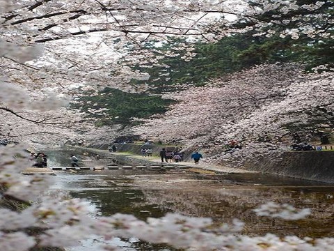 岚山图片