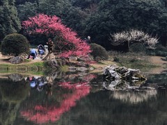 西溪湿地图片
