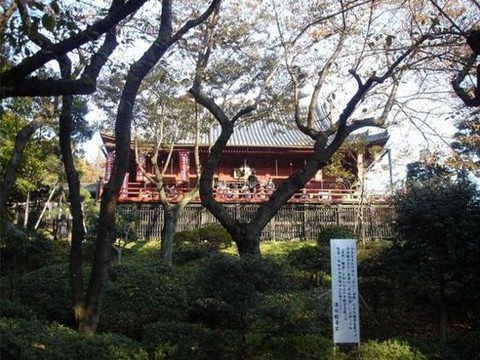 上野恩赐公园图片