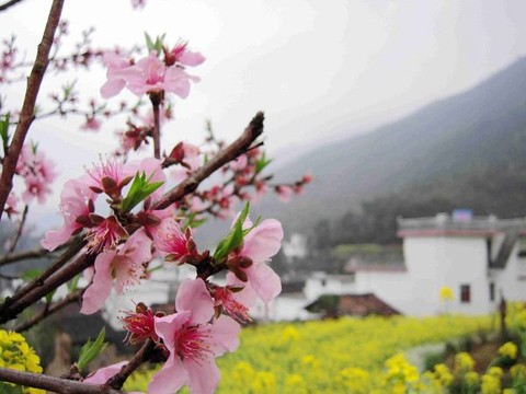 婺源江湾景区图片