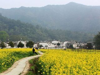 晓起村