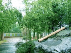 上海旅游景点图片