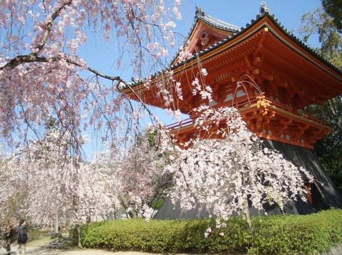 清水寺图片