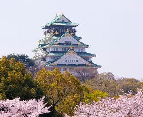 大阪城 - 大阪城公园的照片\/日本\/亚洲