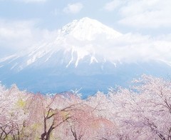 富士山图片