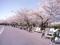 韩国旅游景点图片