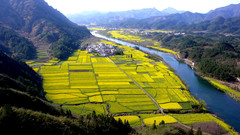 新安江图片