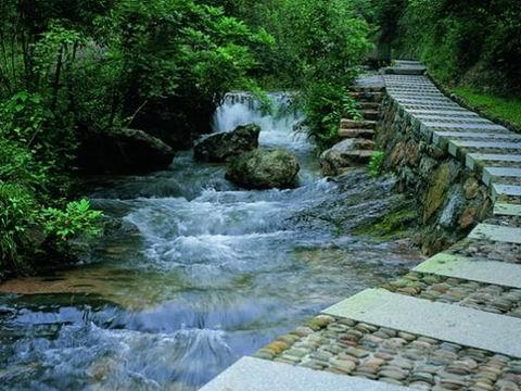 琴溪香谷 - 桐庐垂云通天河景区的照片\/杭州\/浙