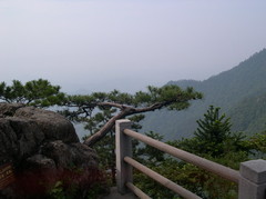 西天目山图片