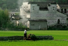 唐模