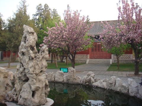 山东泰安图片